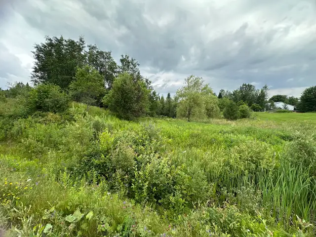 Terrain à vendre à Stoke in Land for Sale in Sherbrooke - Image 5