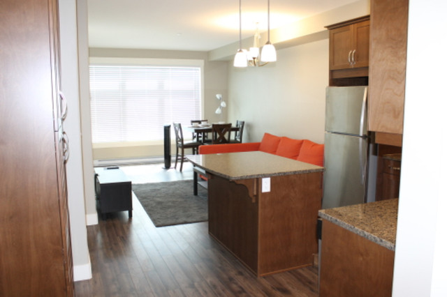 1 Bedroom condo Kamloops at "Landmark Place" Across from TRU in Long Term Rentals in Kamloops - Image 4