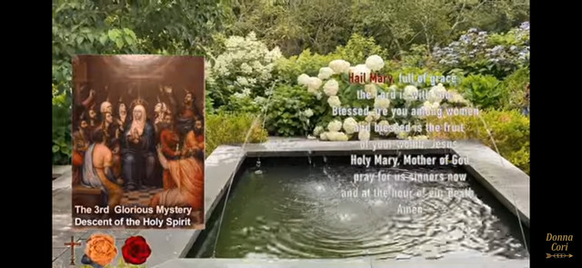 Watch "Thursday RosaryDAY 2, NOVENA to OUR LADY of GOOD COUNSE in Other in City of Toronto - Image 3