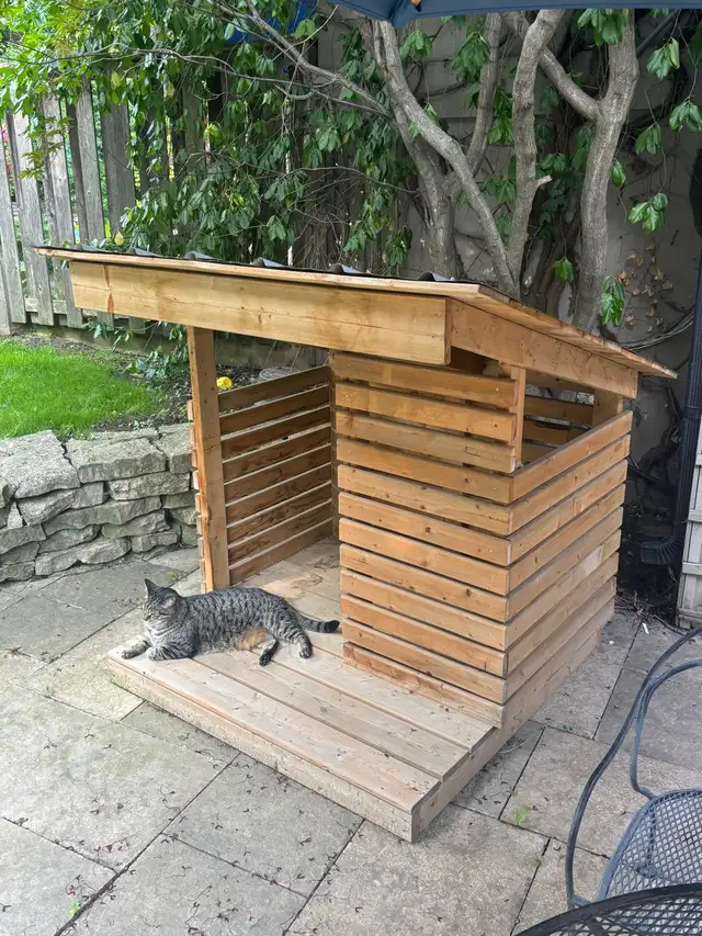 Dog House in Other in City of Toronto - Image 4