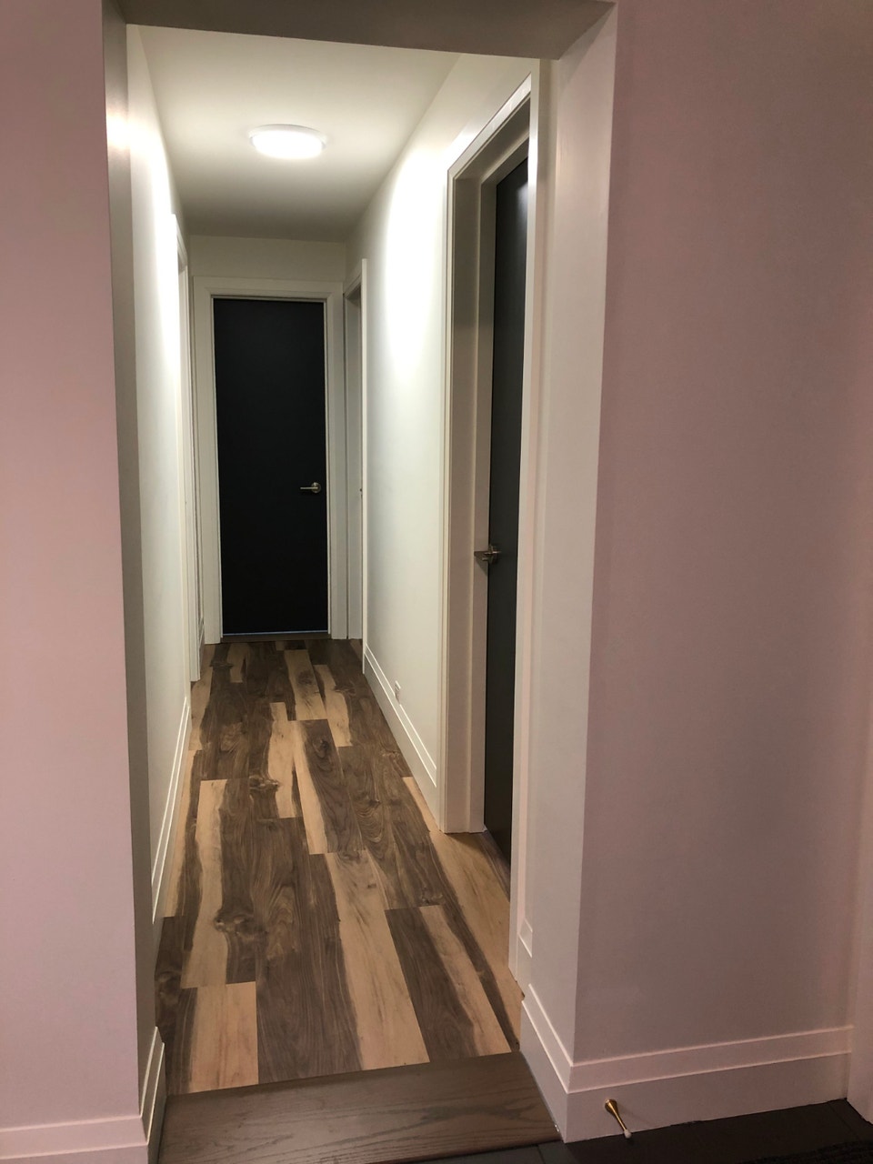 DUNEDIN ST.-COLBORNE ST.W  FOR RENT 5