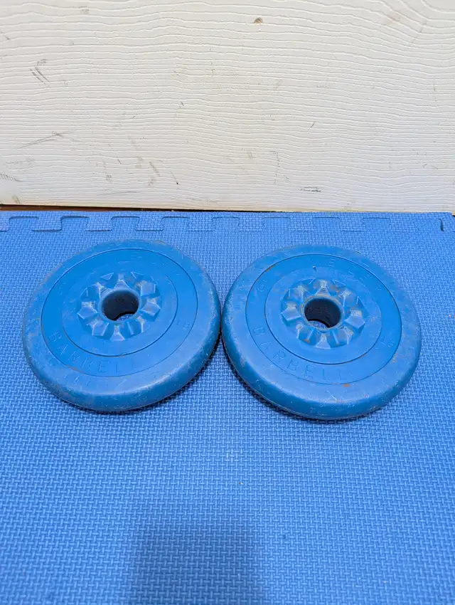 vinyl weight plates $0.50/lbs in Exercise Equipment in Delta/Surrey/Langley - Image 5