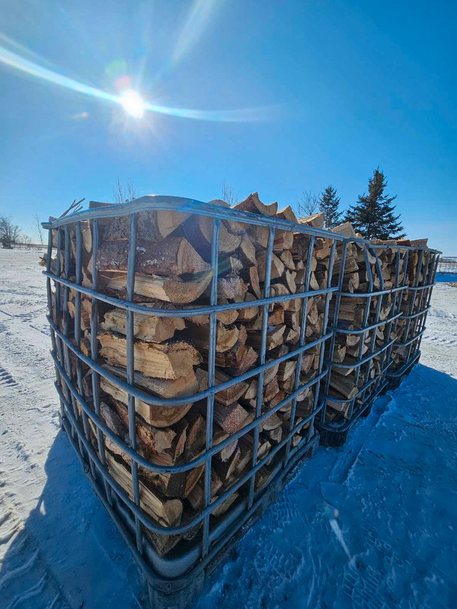 Firewood for sale tamarack  in Fireplace & Firewood in Winnipeg - Image 3