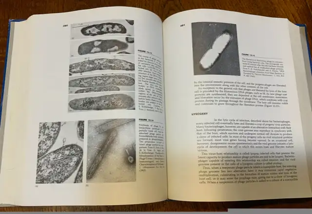 Microbial World in Textbooks in Guelph - Image 5