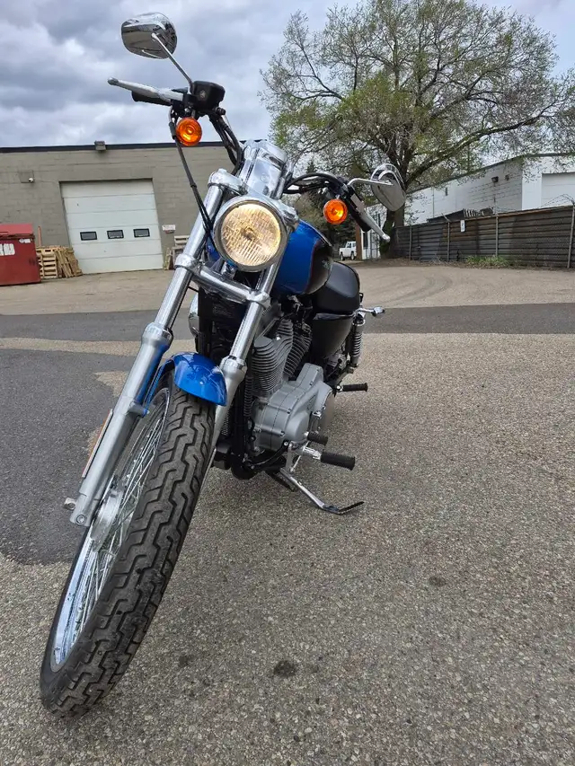 2004 Harley Davidson Sportster 883 -1923 km in Street, Cruisers & Choppers in Edmonton - Image 5