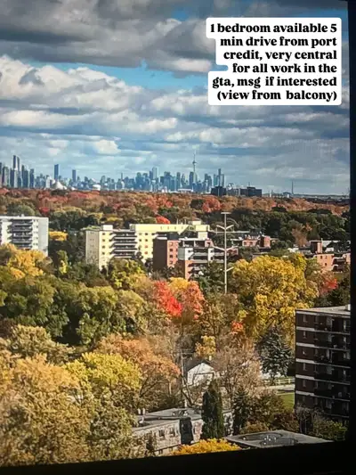 1 bedroom available at Hurontario and the QEW shared with 29 year old male roommate with a cat. Apar...