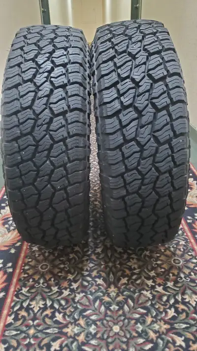 Good day all. I have two Sailun 225/75R16 115S Terramax AT2 tires. The tires are in almost brand new...