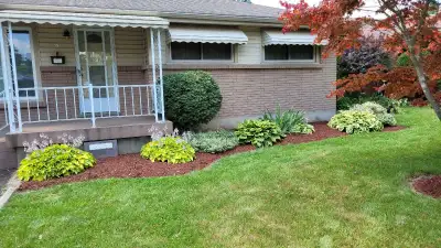 Landscaping and Yard Clean up, View more