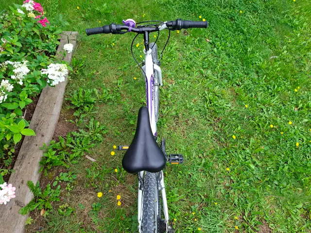 Bicycle 21" wheels, great condition536637266818519043