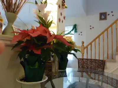 Available December 31st, 2025 | Gordon St. & Arkell Rd Escape to a serene retreat in this bright, fu...