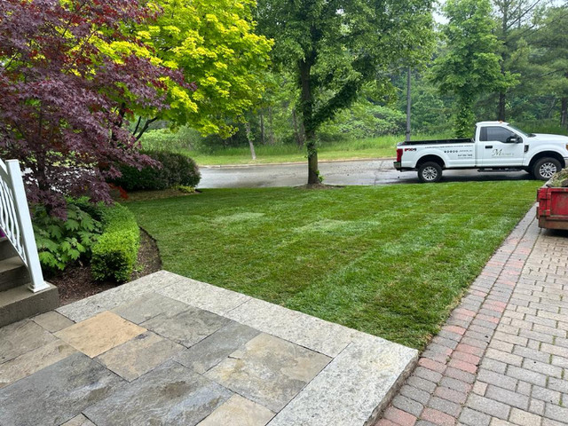 Cheap grass cutting starting as low as $40 dollars in Other in Markham / York Region - Image 3