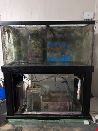 90 gl. Saltwater tank and sump