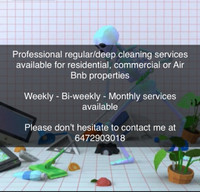 Professional Cleaner Available 
