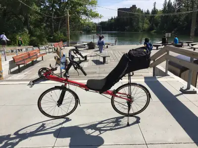 Bacchetta Strada 55 recumbent Kenda Koncept 650c x 23 tires 27 speeds (3 x 9) Scram Scram X7 twist g...