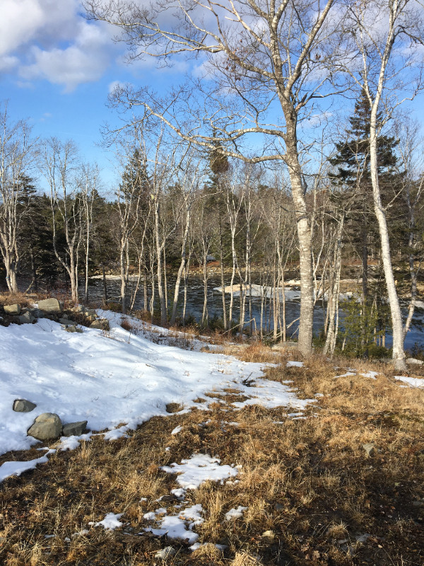 Waterfront property in Land for Sale in Bridgewater - Image 4