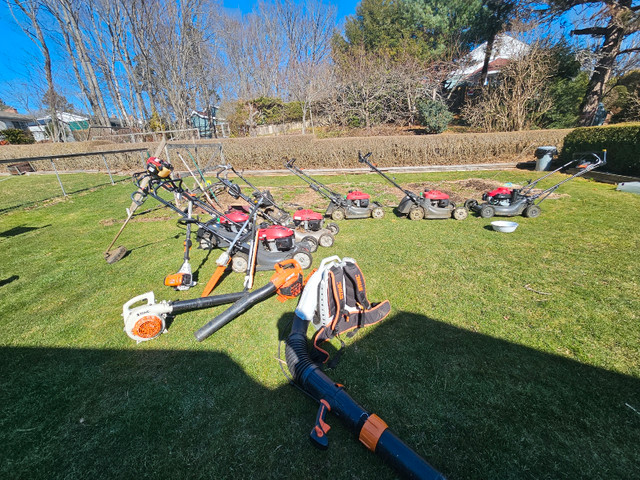 Dadudes Property Services  in Lawn, Tree Maintenance & Eavestrough in Dartmouth - Image 2