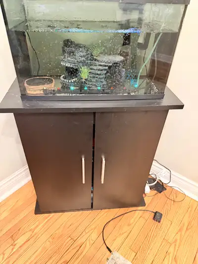 Hi everyone, I selling my axolotl’s. They are still babies with fish tank selling because I’m moving...