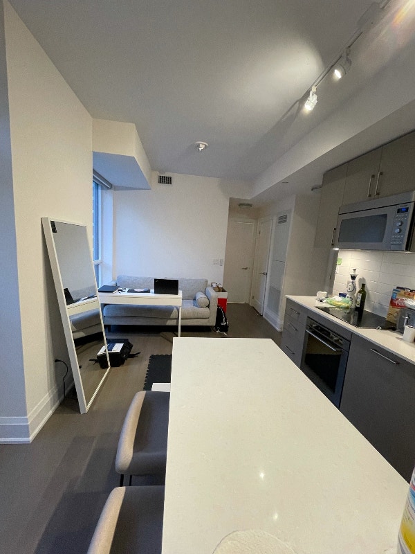 1 Bedroom Short Term Rental Apartment in Yorkville Short Term Rentals
