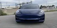Tesla Month x Month car rental