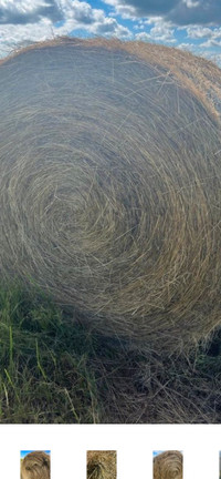 hay bales for sale winnipeg