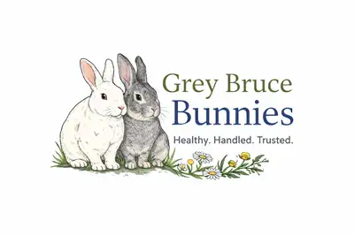 Lovingly raised New Zealand, Californian, and Flemish cross rabbits. Handled daily in a clean, calm...