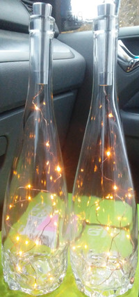 Pair of Fairy Lights in Bottles