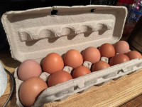 Farm fresh eggs 