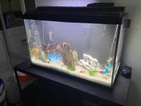 30 GALLON 75 GALLON AQUARIUM - Pickering 