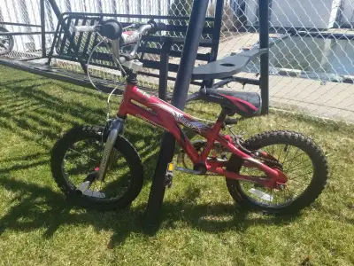 Unisex Schwin  16 inch Kids bike with training wheels, View more