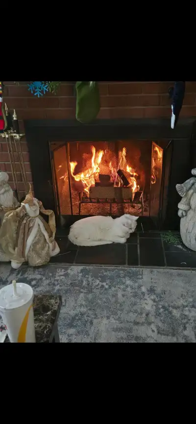 Fireplace Firewood $30, View more