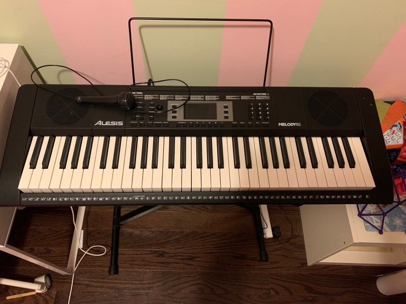 Alesis Melody keyboard 61 key for beginners Pianos & Keyboards