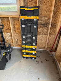 Dewalt tstak system 