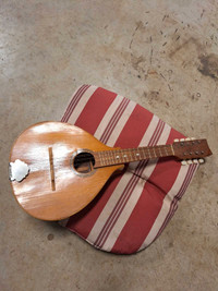 Vintage mandolin 
