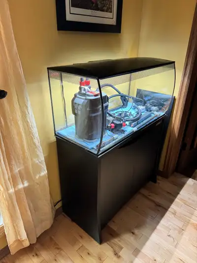 aquarium, View more
