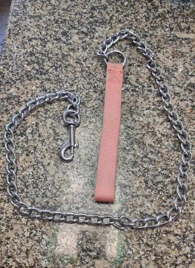 Chain dog leash - 48" / 4 ft. in Accessories in St. Catharines - Image 2