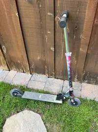 Raleigh kids push scooter