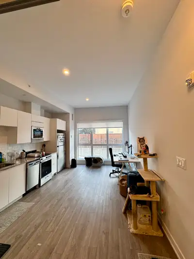 Lease Transfer: Bright 1BR Luxury Apt + 1 Mo Free, Gym, Fiber