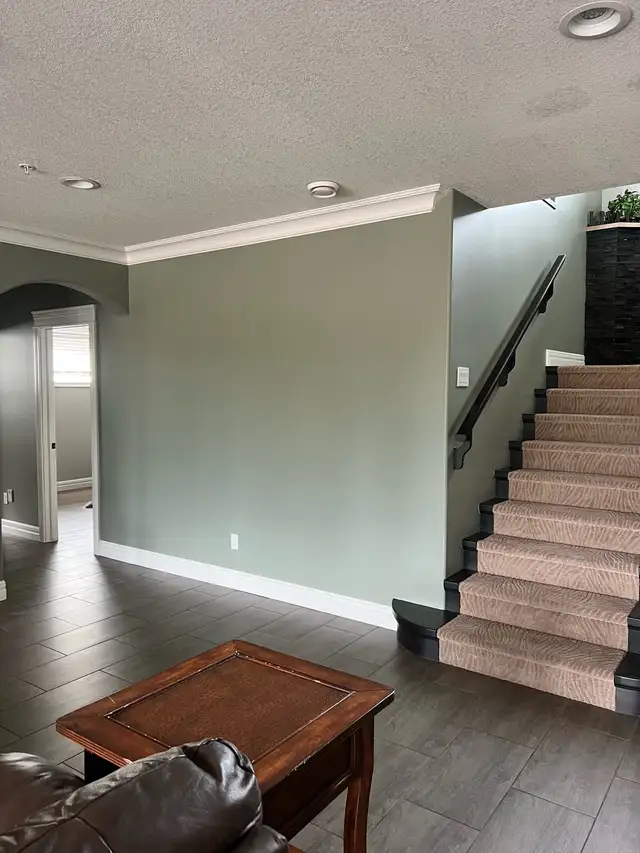 ⭐️ House, Condo & Commercial Painting Services ⭐️62863722910595123