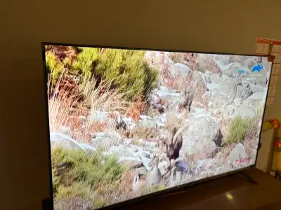 TCL 50 inch S series UHD HDR LED Google Smart TV, View more
