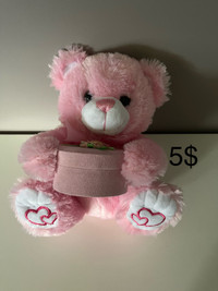 Teddy bear with Gift Box 