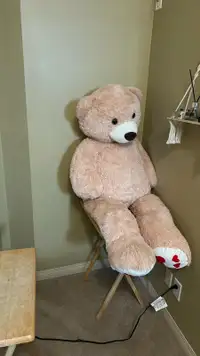 ~5 feet teddy bear