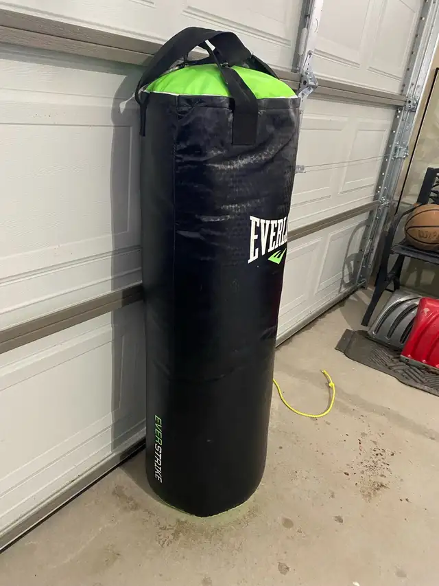 Everlast Everstrike Boxing Bag in Exercise Equipment in Cambridge - Image 3