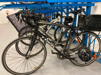 Trek AL Domaine Road Bike 2019 - Frame size 60 (Large)