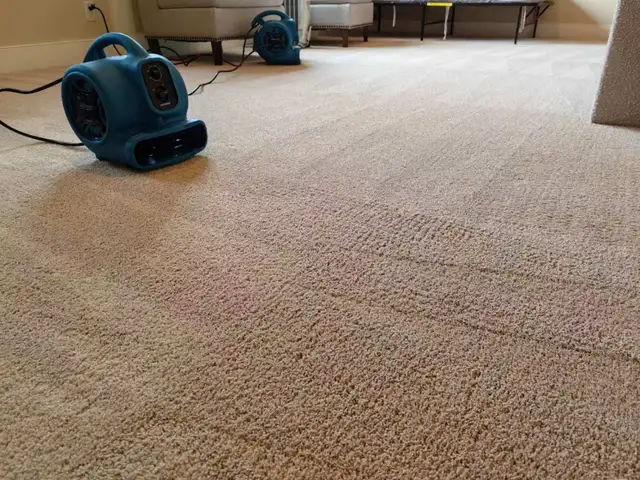 BEST MACHINE Truck-mount Carpet Steam Cleaning DEEP CLEAN in Cleaners & Cleaning in Calgary - Image 9
