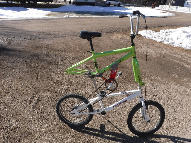 custom double BMX bike in Kids in St. Albert - Image 2