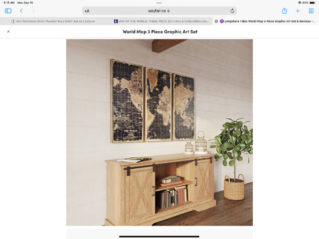ORNATE MAP OF THE WORLD in Home Décor & Accents in Kenora - Image 2