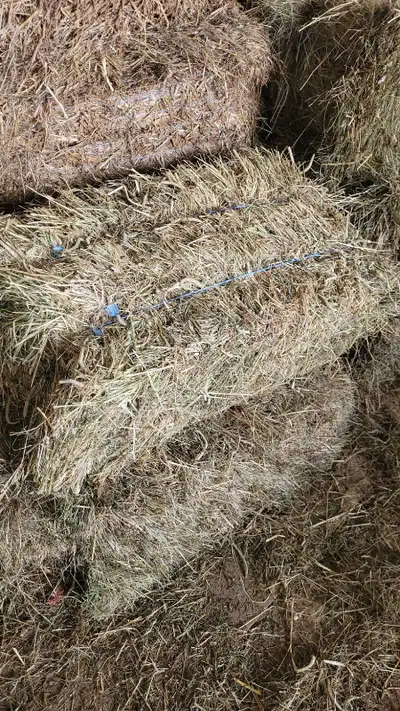 Hay for sale , View more