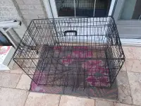 Cage for dog 