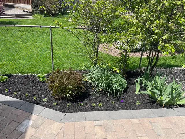 Apollo Property Maintenance Barrie in Snow Removal & Property Maintenance in Barrie - Image 5