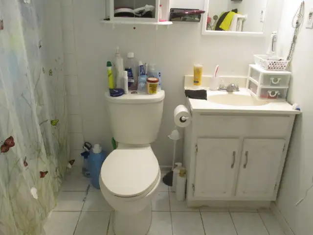 Photo 5